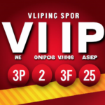 Understanding VIP Casino Programs